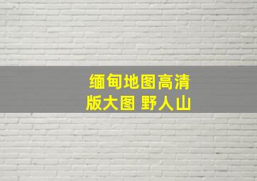 缅甸地图高清版大图 野人山